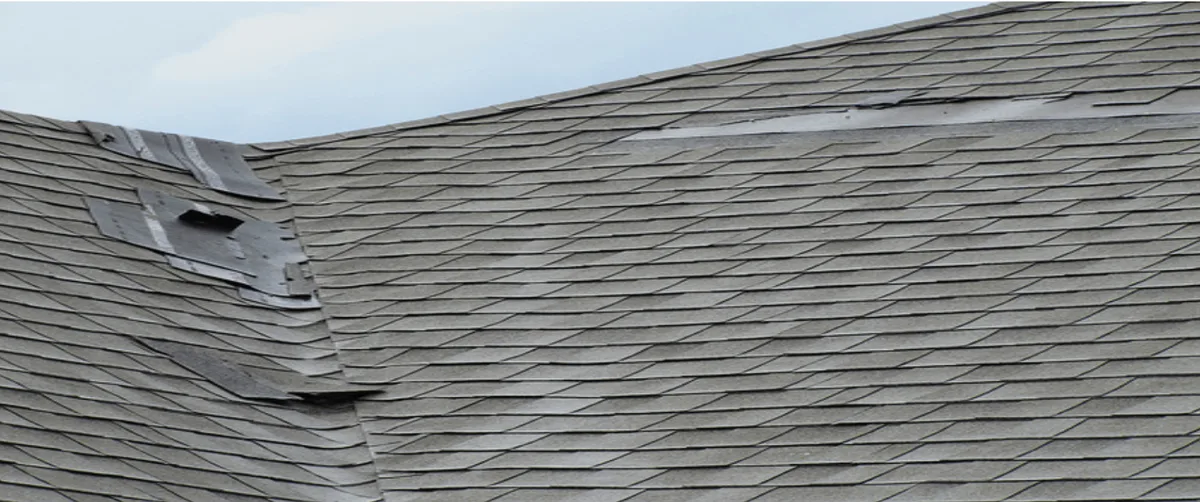 Shingles lifted and damaged by wind on a roof